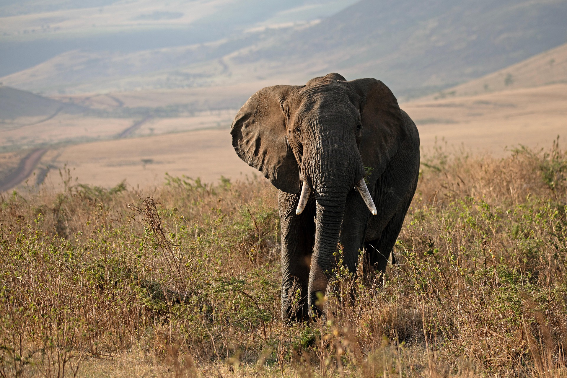 Unforgettable Adventures Across Africa