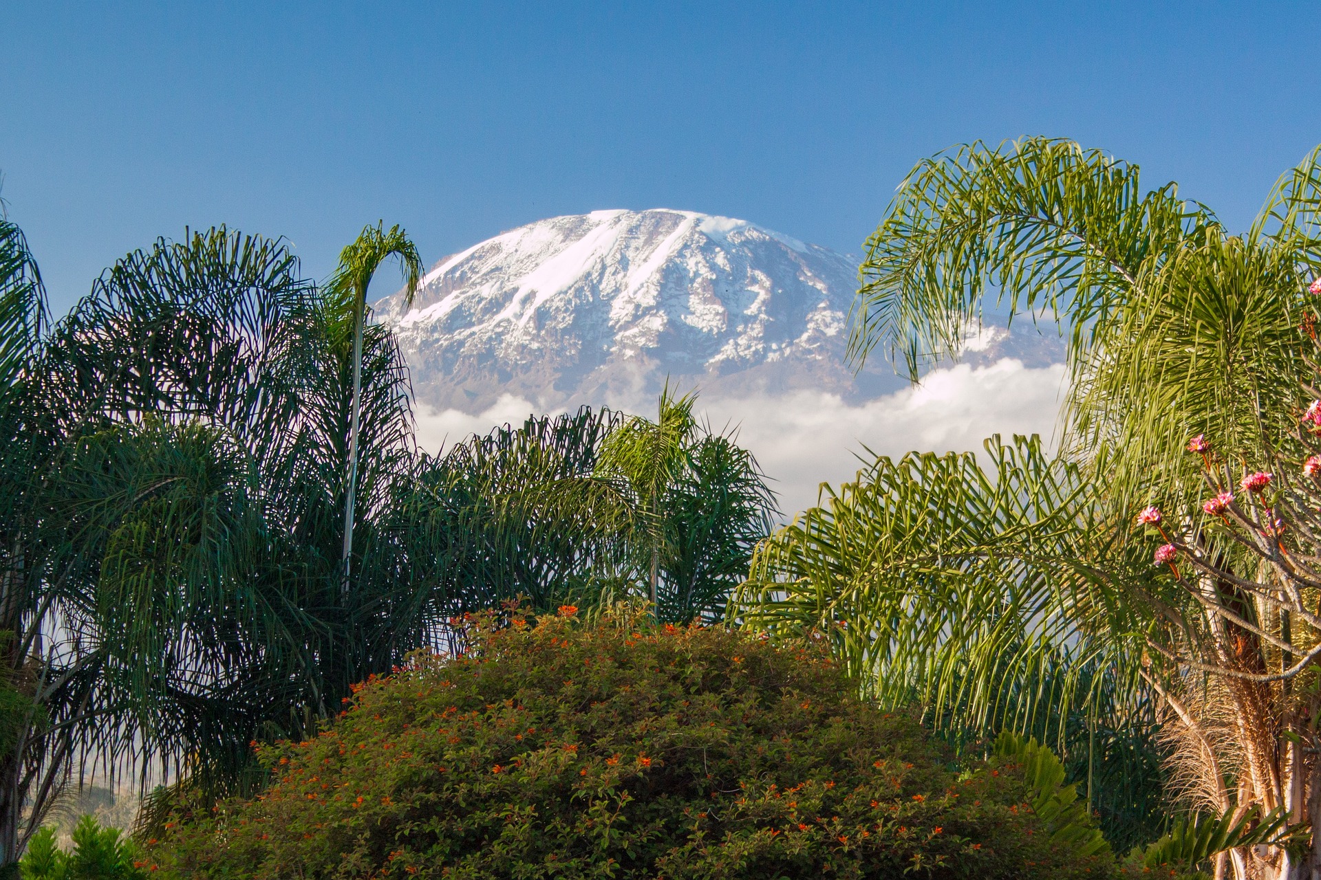 6-Day Mount Kilimanjaro Climb via Machame Route